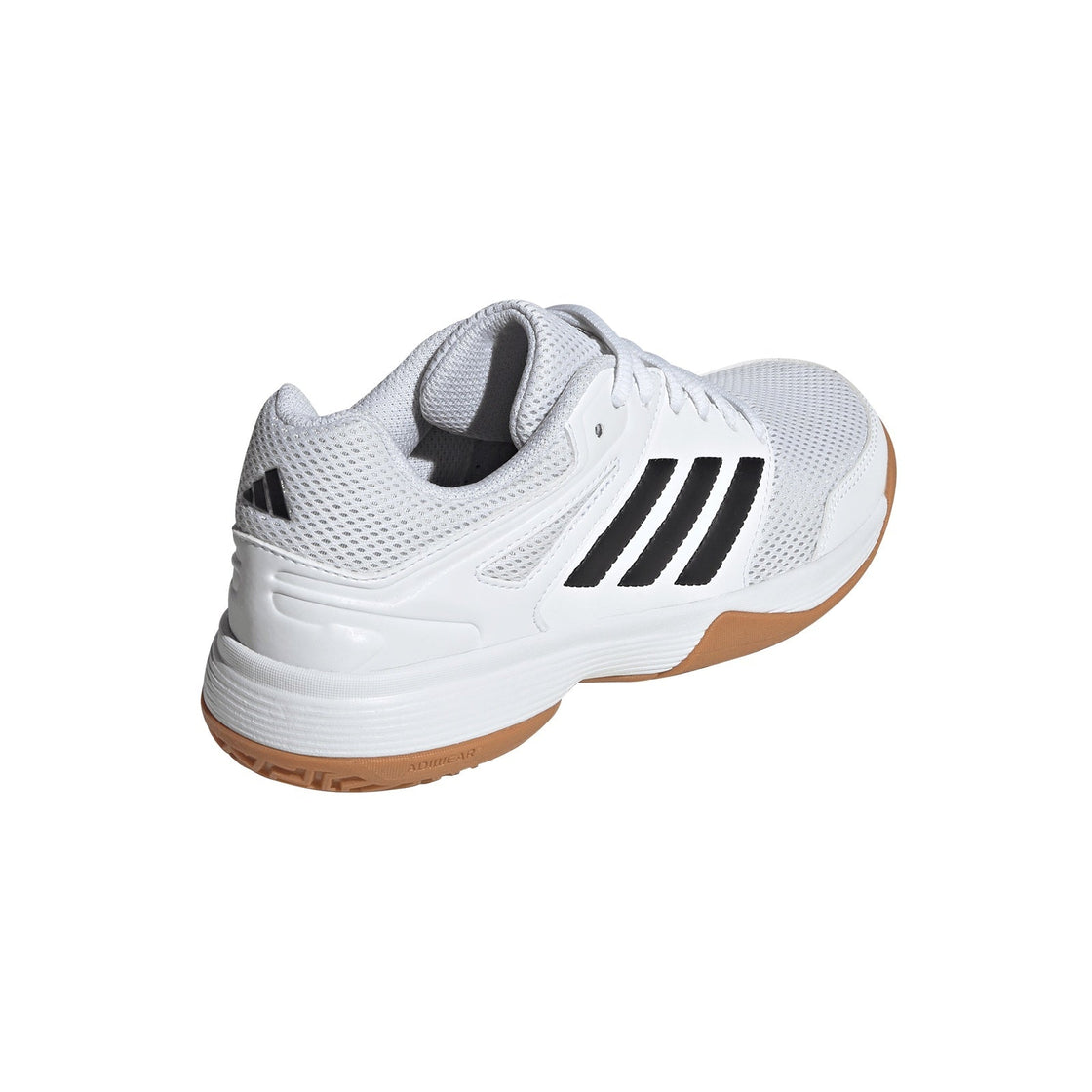 IE8034_7_FOOTWEAR_Photography_Back Lateral Top View_transparent