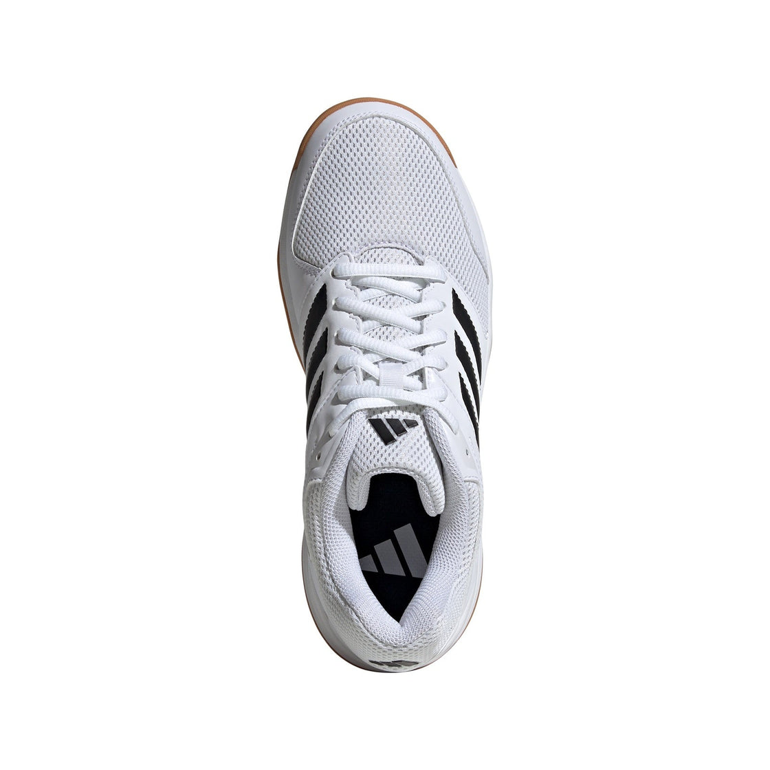 IH3159_3_FOOTWEAR_Photography_Top Portrait View_transparent