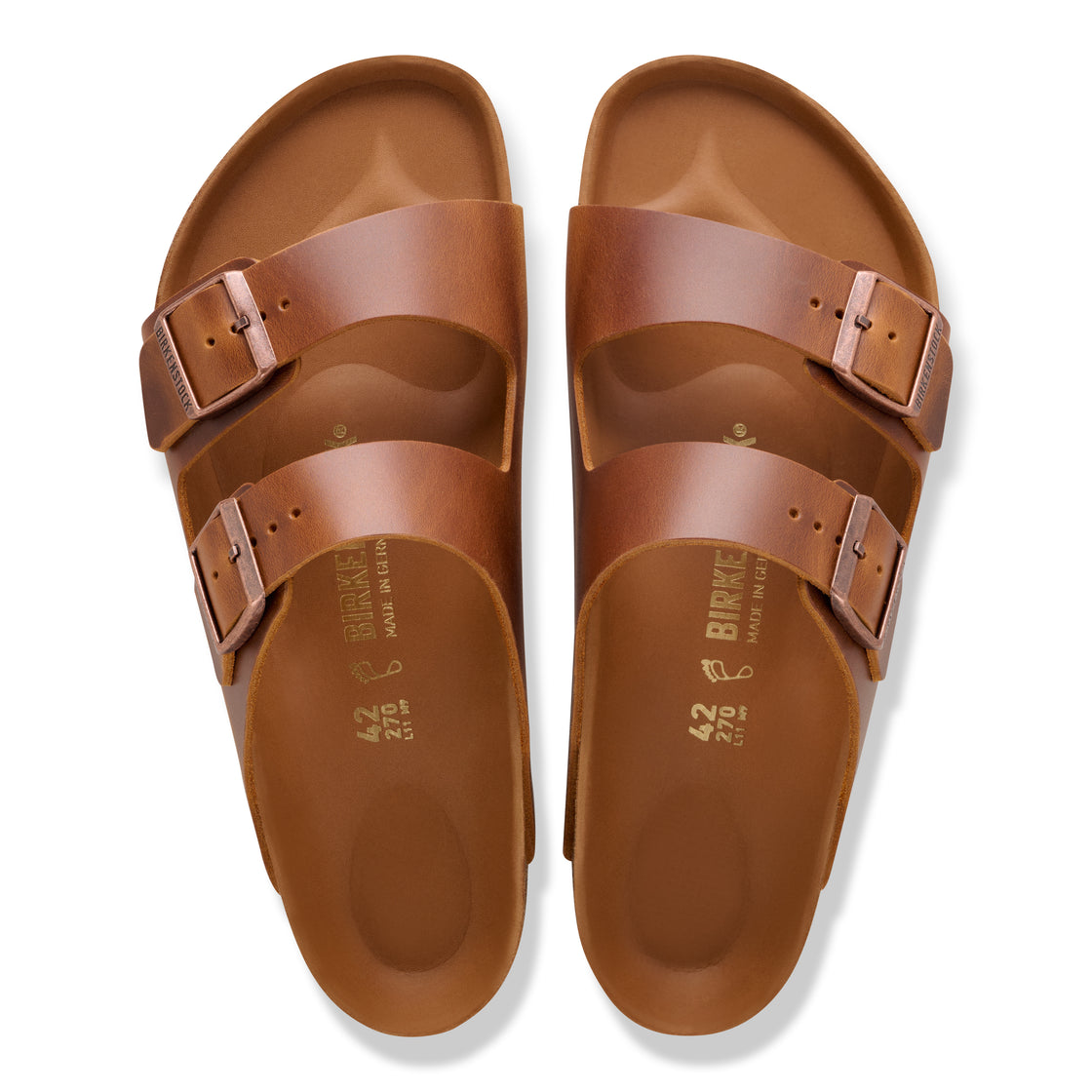 M Arizona LENA