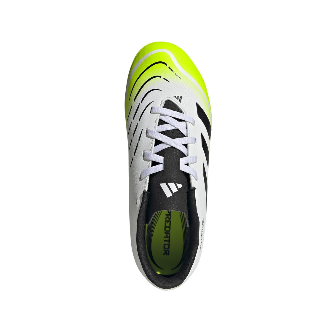 JH8868_2_FOOTWEAR_Photography_Top Portrait View_transparent