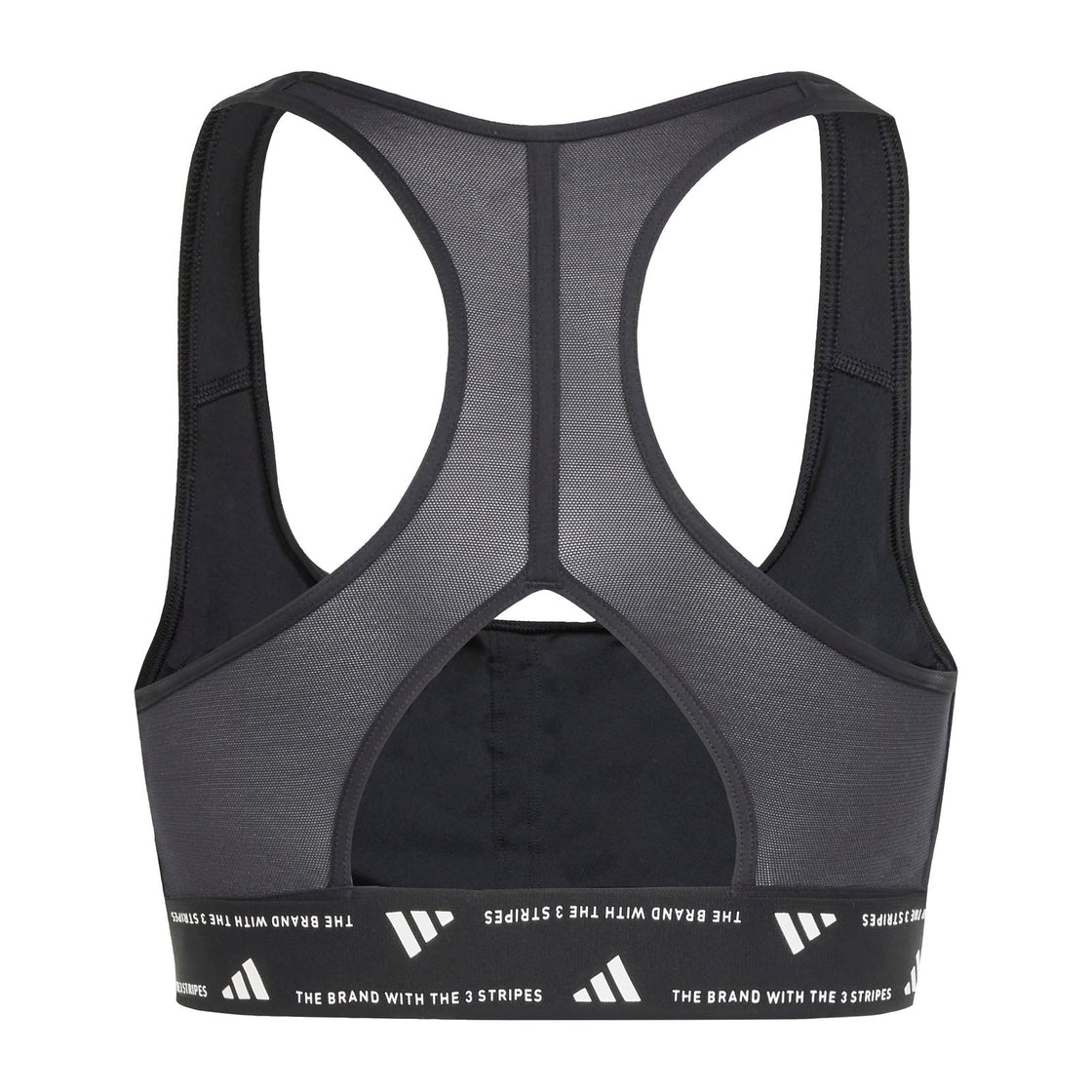 IQ3377_3_APPAREL_Photography_Back Center View_transparent