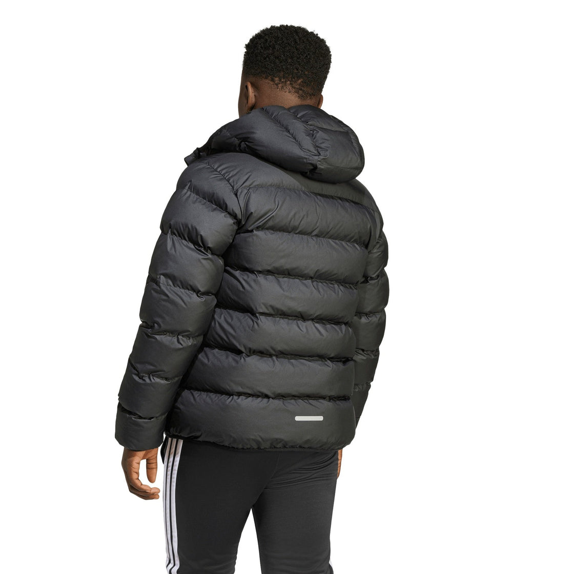 JL7430_3_APPAREL_On Model_Back View_transparent