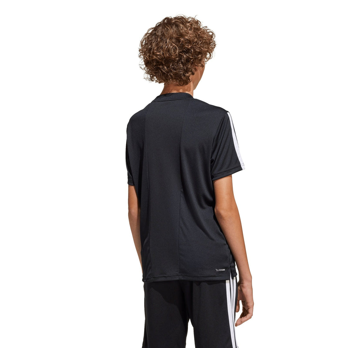 JJ1032_4_APPAREL_On Model_Back View_transparent