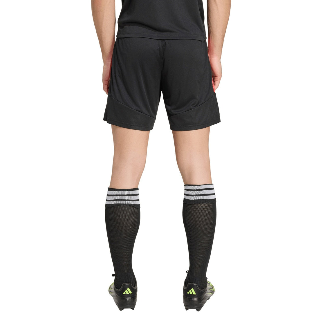 KA8776_4_APPAREL_On Model_Back View_transparent(1)