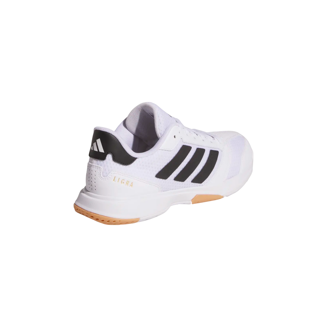 IH8118_7_FOOTWEAR_Photography_Back Lateral Top View_transparent