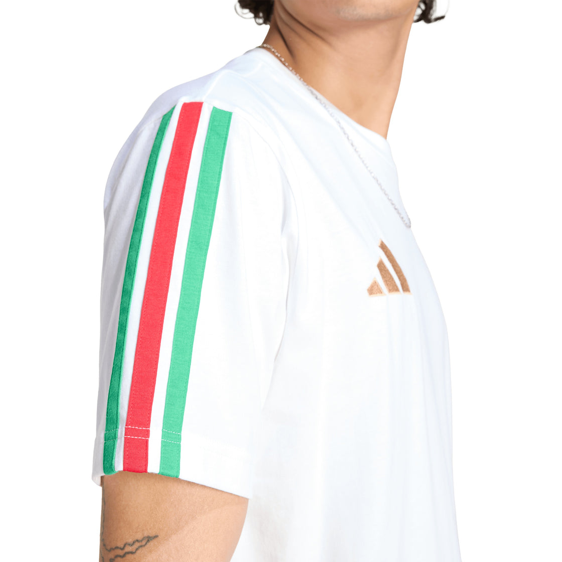 M FIGC DNA TEE