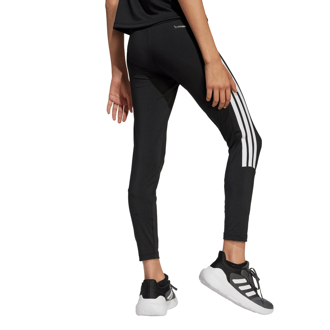W JG TR-ES 3S LEG