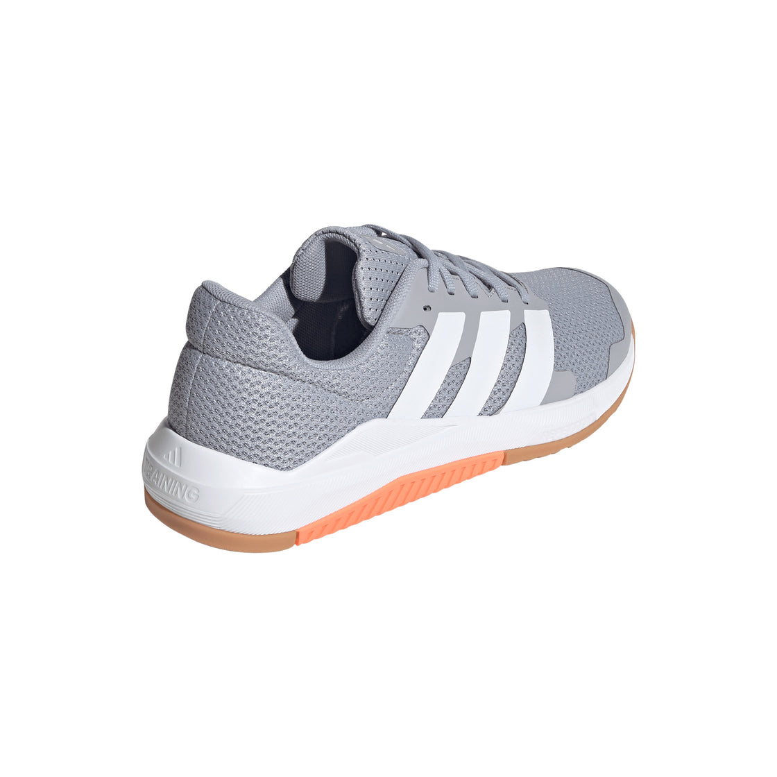 W DROPSET BASE TRAINER