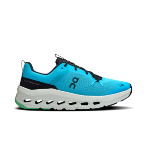 Cloudleap 1 Y